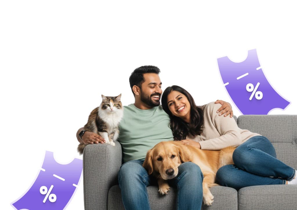 A happy couple with their dog and cat